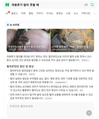 본문 이미지 - '마뱀이네 | 양서 파충류의 이야기' 네이버 AI 브리핑 인용 (네이버 제공)