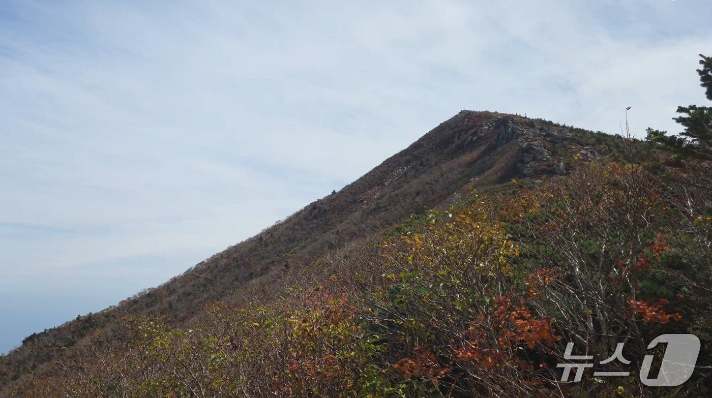 본문 이미지 - 28일 설악산 대청봉~중청 일대에서 관측된 단풍.(설악산국립공원사무소 제공. 재판매 및 DB 금지) 2026.928/뉴스1