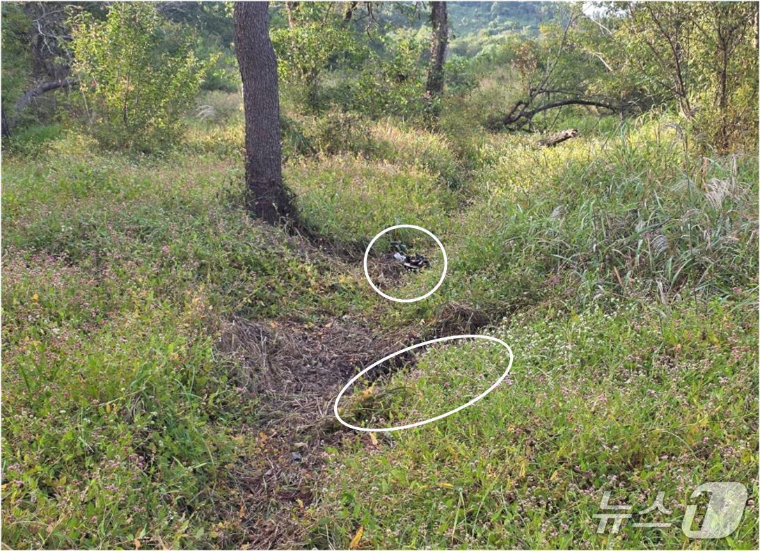 본문 이미지 - 28일 서울 용산구 국방부에서 열린 DMZ 지뢰 추정 폭발 사고 브리핑에서 공개된 '지뢰 폭발 화구'의 모습. (합동참모본부 제공. 재판매 및 DB 금지) 2026.9.28 ⓒ 뉴스1