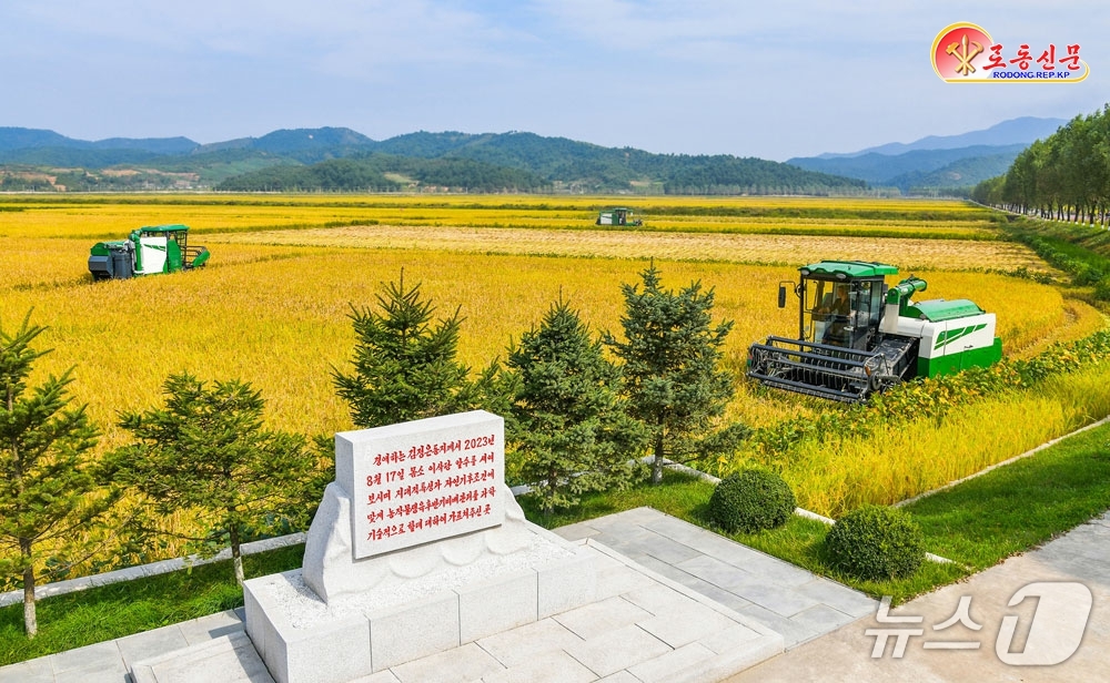 (평양 노동신문=뉴스1) = 노동당 기관지 노동신문은 29일 김정은 노동당 총비서가 방문했던 농장들의 올해 벼 수확량이 지난해보다 늘어날 것으로 전망하며 성과를 선전했다. 사진은 …