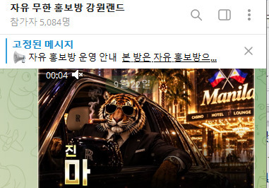 '강원랜드 사칭' 불법도박 홍보 폭증…작년 7건→올해 1539건