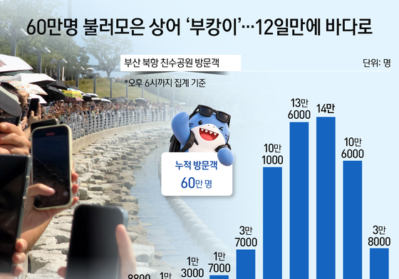 [오늘의 그래픽] 60만명 불러모은 상어 '부캉이'…12일만에 바다로