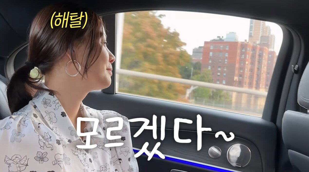 본문 이미지 - 유튜브 채널 'Mrs.뉴저지 손태영' 영상 갈무리
