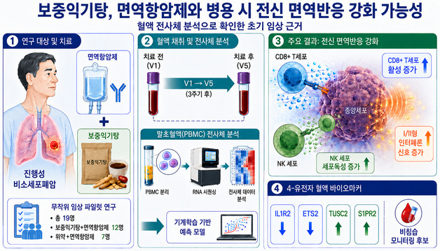 "한약 보중익기탕, 면역항암제와 병용하면 항암효과 높여"