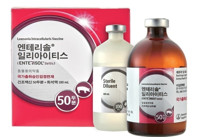 베링거 돼지회장염생백신, 항생제와 병용 가능해져…허가사항 변경