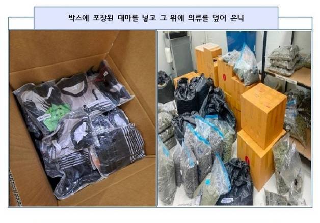 검찰, '127만명분 대마 밀수' 50대 야쿠자에 징역 20년 구형