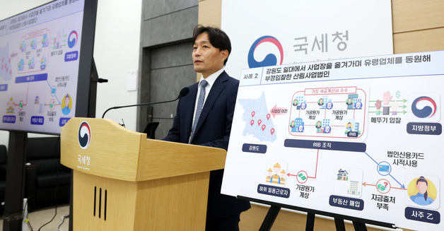 국세청,  산불피해 복구사업 입찰 유령업체 세무조사 실시