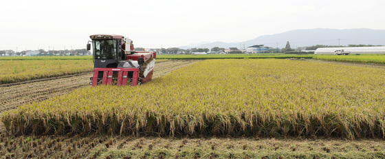 [오늘의 날씨] 부산·경남(4일, 금)…대체로 맑음, 해안가 강풍 주의