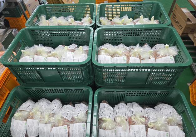 전남광주 김치, 세계인 입맛 공략…미국·영국 수출길
