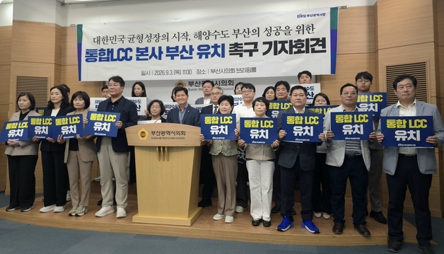 민주당 "가덕신공항 성공하려면 통합 LCC 본사 부산에 와야"