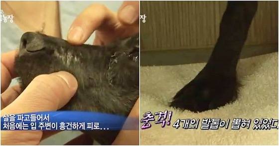 많이 본 뉴스