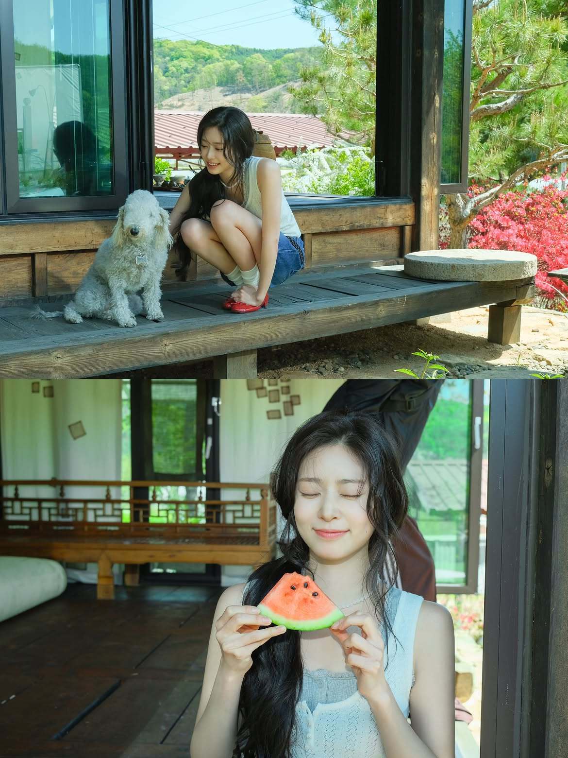본문 이미지 - 사진=매니지먼트 숲 인스타그램