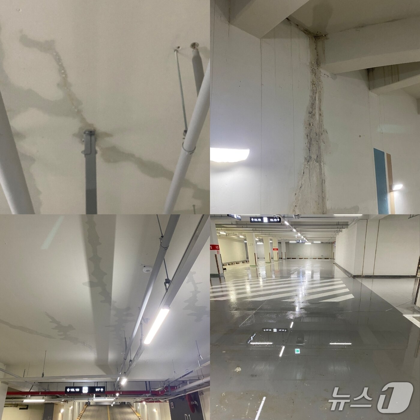 본문 이미지 - 지난 2023년 해당 아파트의 준공 당시 지하주차장 천장에서 누수가 발생해 바닥에 물이 흥건한 상태다.2026.9.3/뉴스1 신성훈 기자