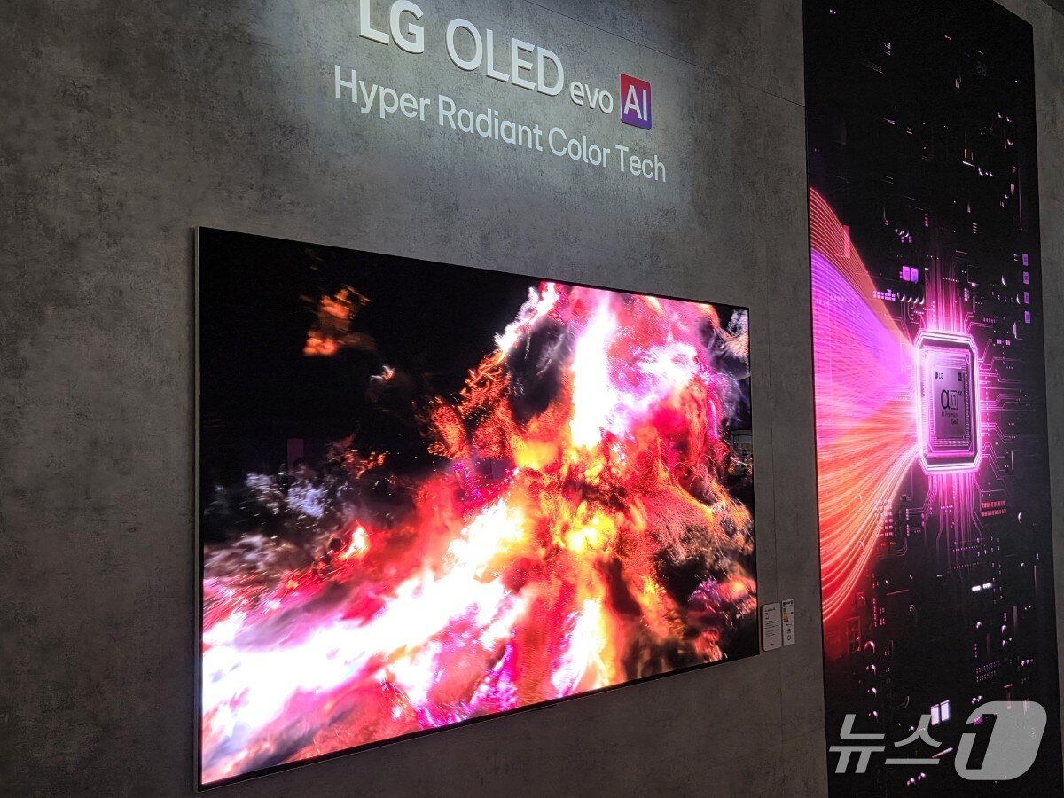 본문 이미지 - LG전자가 압도적인 화질을 자랑하는 OLED TV를 IFA 2026에서 전시했다. 2026. 9. 4/뉴스1 황진중 기자