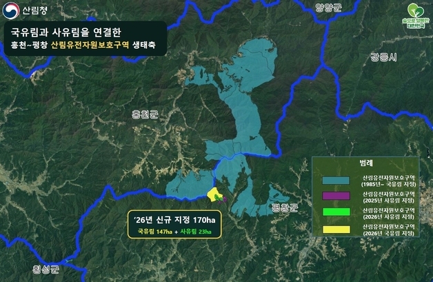 산림청, 숲과 숲을 잇다…평창~홍천 유전자원보호구역 생태축