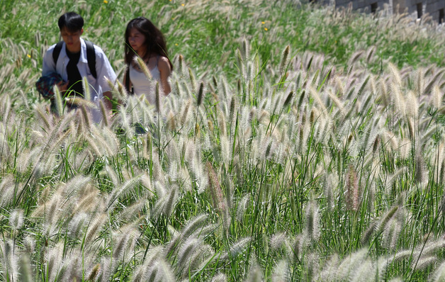 [오늘의 날씨] 충북·세종(7일, 월)…대체로 맑음, 낮 최저 15~18도