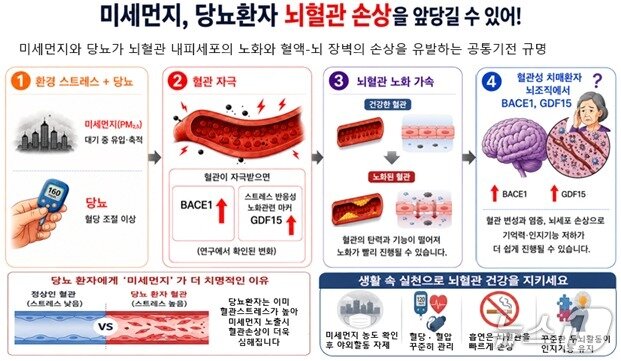 본문 이미지 - 당뇨가 있으면 초미세먼지에 노출됐을 때 뇌혈관 기능 이상이 더 뚜렷하게 나타날 수 있다는 연구결과가 나왔다. 당뇨와 고혈압 등 기저질환이 있다면 미세먼지 노출을 최소화하고 대기질 정보를 확인해 야외활동을 조절하는 등 환경요인을 고려한 건강관리가 요구된다.(질병관리청 제공)