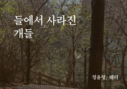 '들에서 사라진 개들' 출간…우리동생동물병원, 9월 19일 북토크