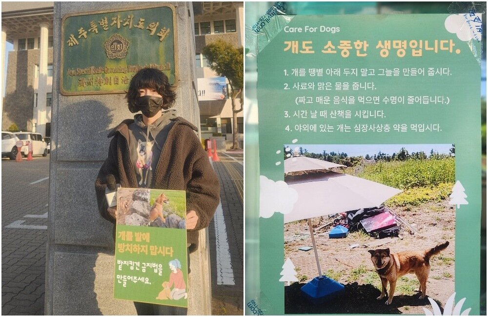 본문 이미지 - 유재연 작가는 밭에 묶여 사는 개들을 위한 다양한 활동을 하고 있다(인스타그램 yyujaeyeon 제공) ⓒ 뉴스1