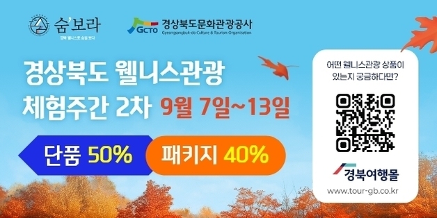"떠나볼까 웰니스관광"…경북여행몰서 24종 최대 30% 할인
