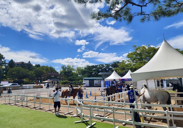 "세계 경주마 과천에 집결"…코리아컵, '국제 G2' 격상 오늘 개막