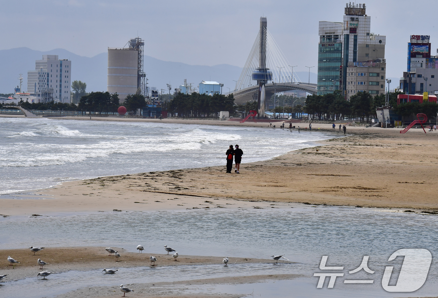 (포항=뉴스1) 최창호 기자 = 6일 오후 경북 포항시 북구 영일대해수욕장 백사장으로 높은 파도가 밀려들고 있다.  2026.9.6/뉴스1