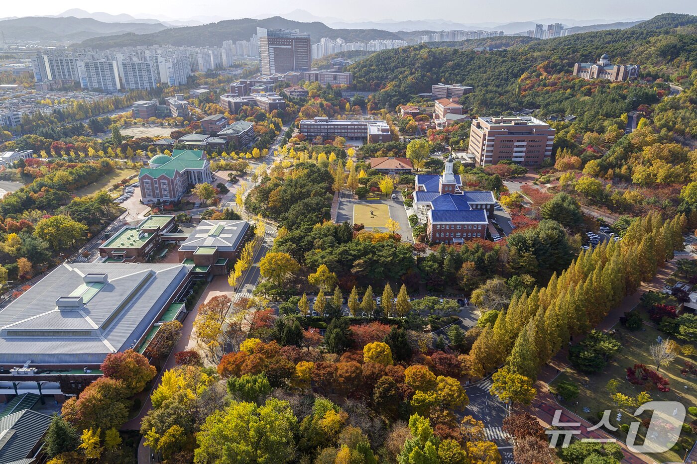 본문 이미지 - 계명대 대구 성서캠퍼스의 가을풍경. (계명대 제공. 재판매 및 DB금지)