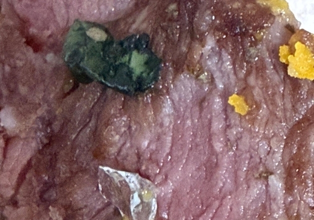 "샐러드에 1㎝ 유리 조각, 파편 삼켰다"…점주 "내가 일부러 넣었냐" 고함