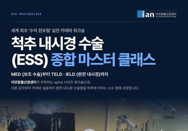 최소 절개로 반려동물 척추 치료…'내시경 수술' 클래스 열린다