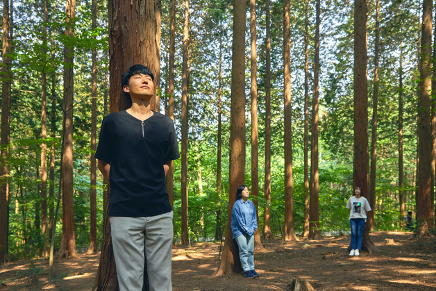산림복지진흥원, 관악·광진·송파구 보건소와 산림치유 협력