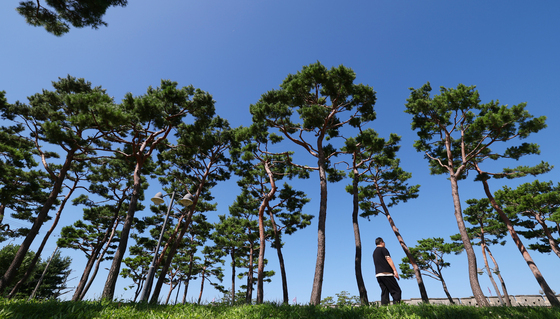 [오늘의 날씨] 전남광주(8일, 화)…맑은 가운데 일교차 10도 안팎
