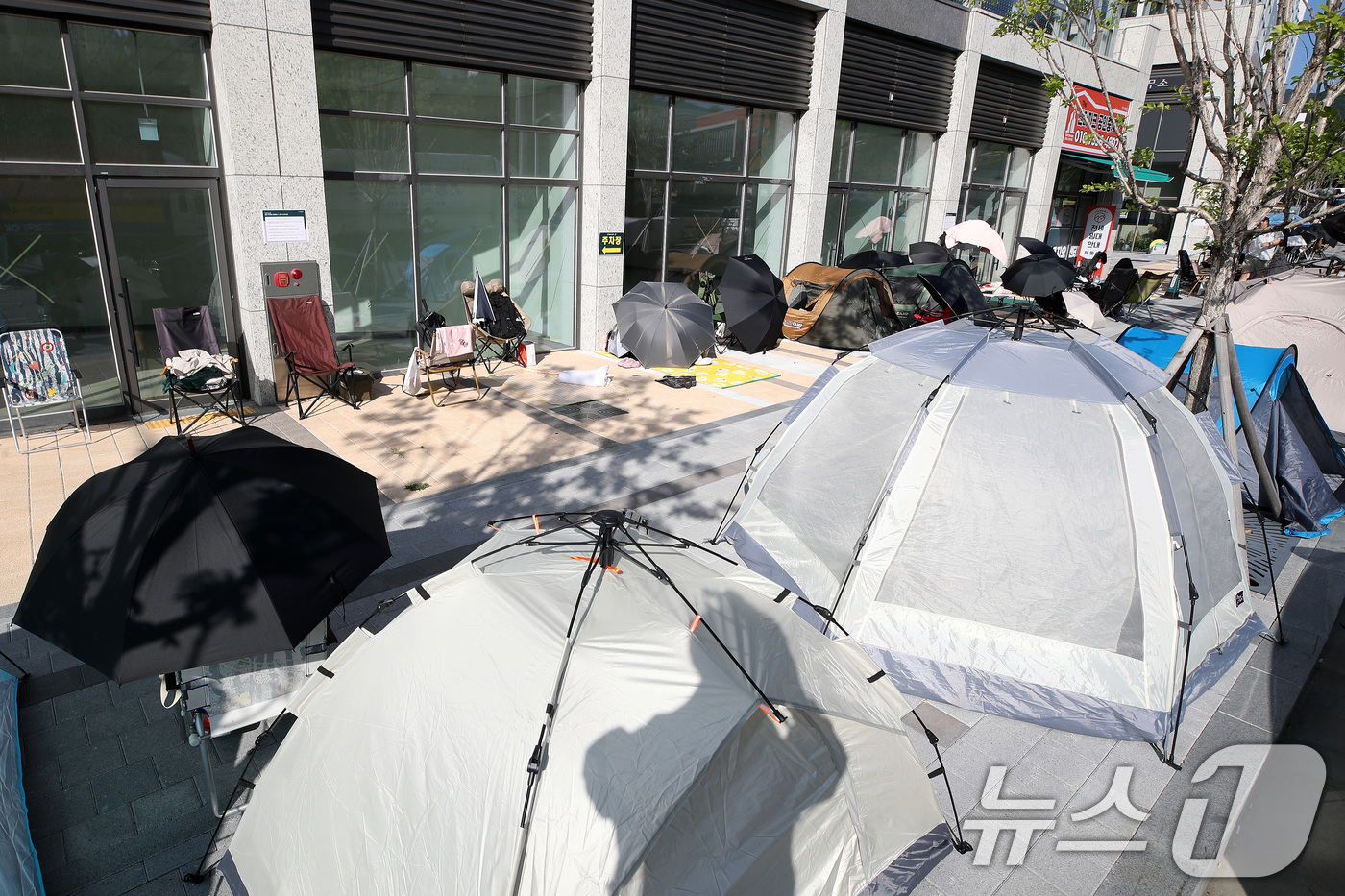 (대구=뉴스1) 공정식 기자 = 7일 오후 대구 달서구 '상인 푸르지오 센터파크' 분양사무소 앞에 선착순 전세 계약 접수를 기다리는 사람들이 우산, 텐트, 그늘막, 캠핑용 의자 등 …
