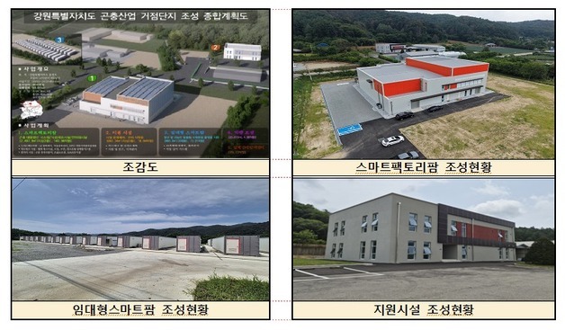 '곤충 단백질' 대량생산 시대…춘천에 국내 첫 곤충산업 거점단지 준공