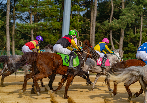 마사회, 온라인 전용 목요경마……10·17일 제주경주 진행