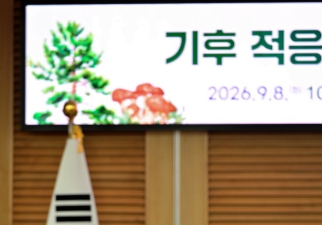 "소나무 관리, 실질적 입법·정책으로"…산림청, 국회서 해법 토론회