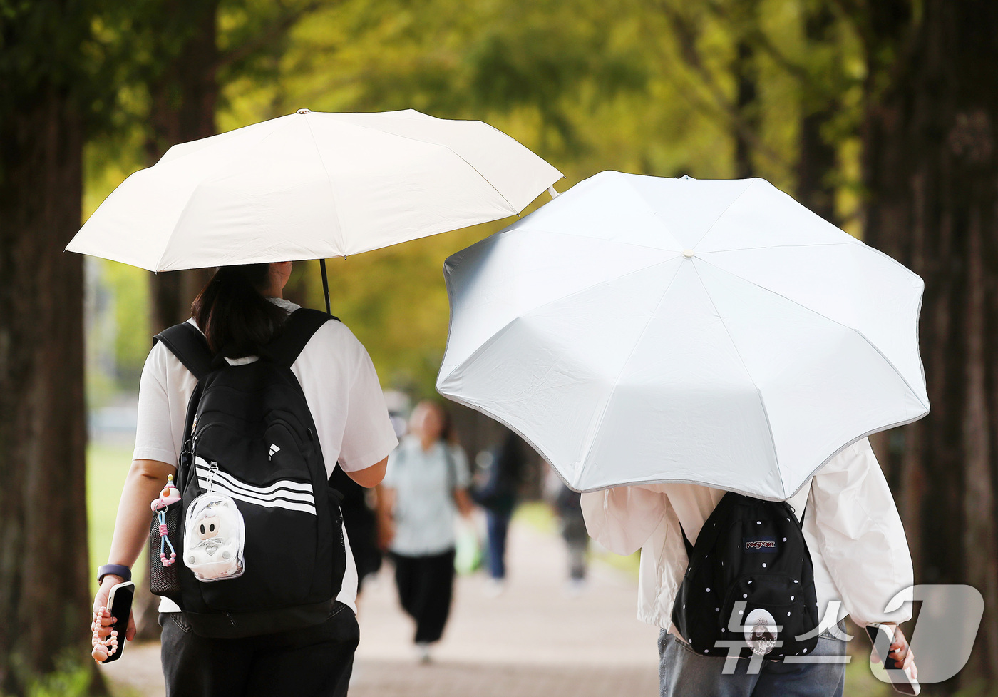 (경산=뉴스1) 공정식 기자 = 8일 오후 영남대 경산캠퍼스에서 학생들이 양산으로 한낮 뙤약볕을 가린 채 걸어가고 있다. 2026.9.8/뉴스1