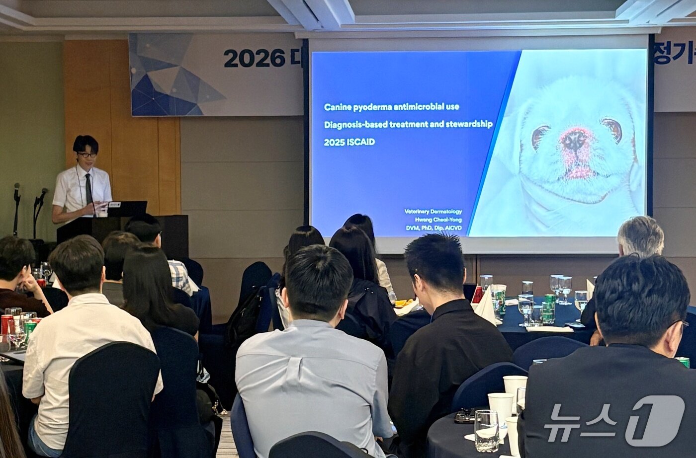본문 이미지 - 황철용 서울대 교수가 6일 '2026 대한수의피부과학회 워크숍'에서 강의를 하고 있다(학회 제공). ⓒ 뉴스1