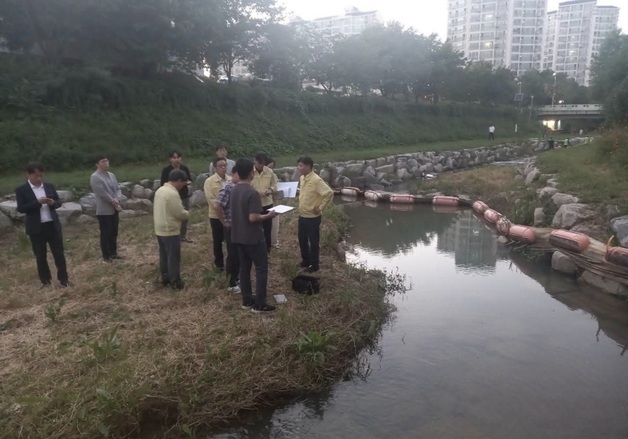 부천 베르나천서 물고기 집단 폐사…원인 조사 착수