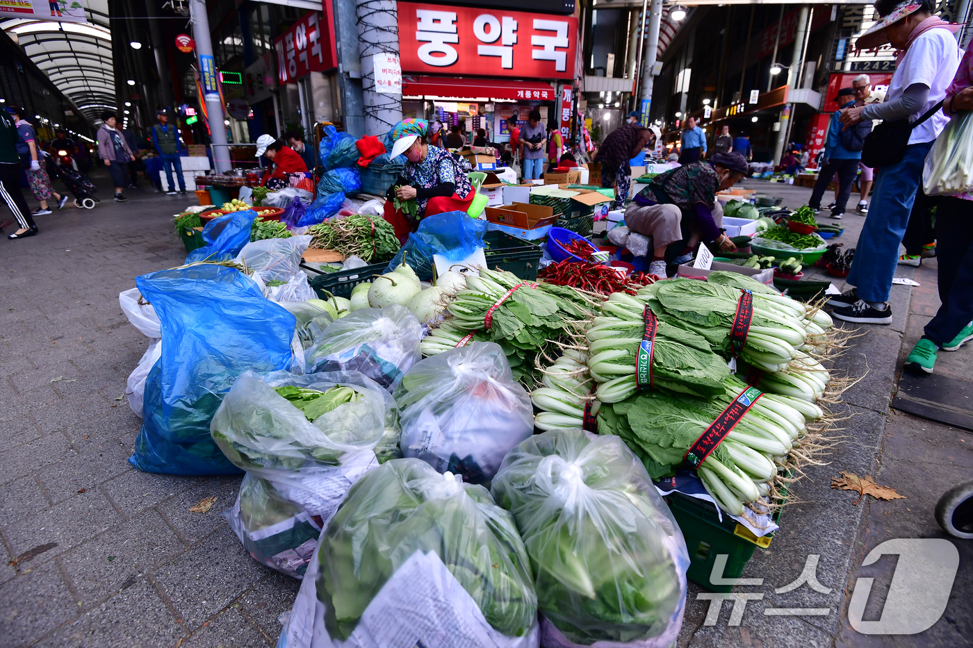 (포항=뉴스1) 최창호 기자 = 9일 오전 경북 포항시 죽도시장 입구 앞에서 노점상인들이 채소를 팔고 있다.상인은 "현재 얼갈이 배추 한 단에 8000원에 판매하고 있다"고 밝혔다 …