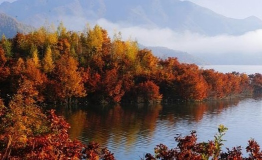 원주환경청, 횡성호 취수탑 지점에 조류경보 '관심' 단계 발령