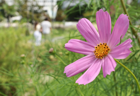 아침 공기 한층 선선해져…낮 최고 29도·내륙 큰 일교차