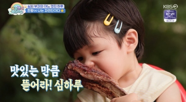 '슈돌' 심형탁 子 하루, 우대갈비·쪽갈비 먹방…계곡 나들이